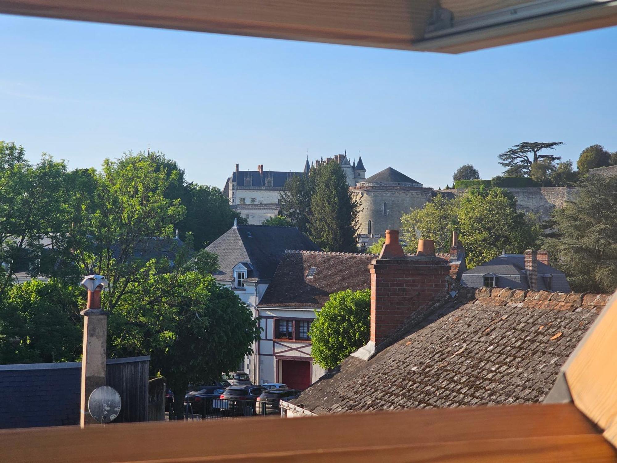 Le Vinci /Maison Pres Du Chateau Amboise Buitenkant foto